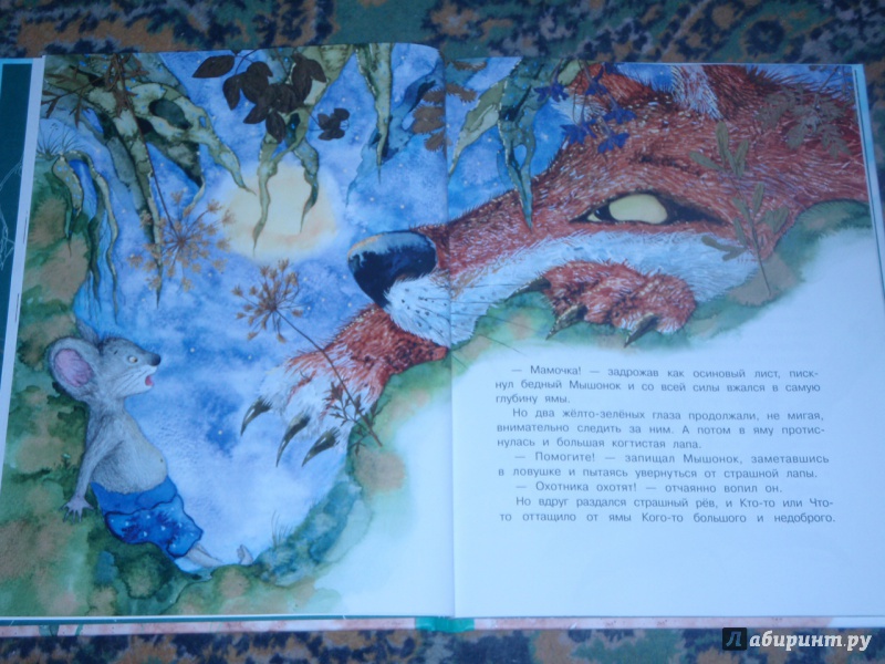 Иллюстрация 11 из 84 для Истории с хвостиком - Анна Юдина | Лабиринт - книги. Источник: солнечная поганка