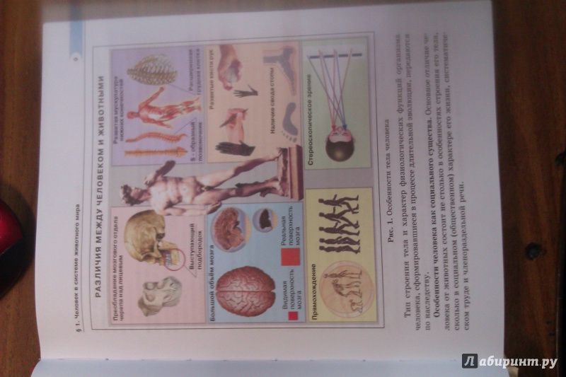 Иллюстрация 5 из 39 для Биология. 8 класс. Человек и его здоровье. Учебник. ФГОС - Рохлов, Трофимов | Лабиринт - книги. Источник: Vic454
