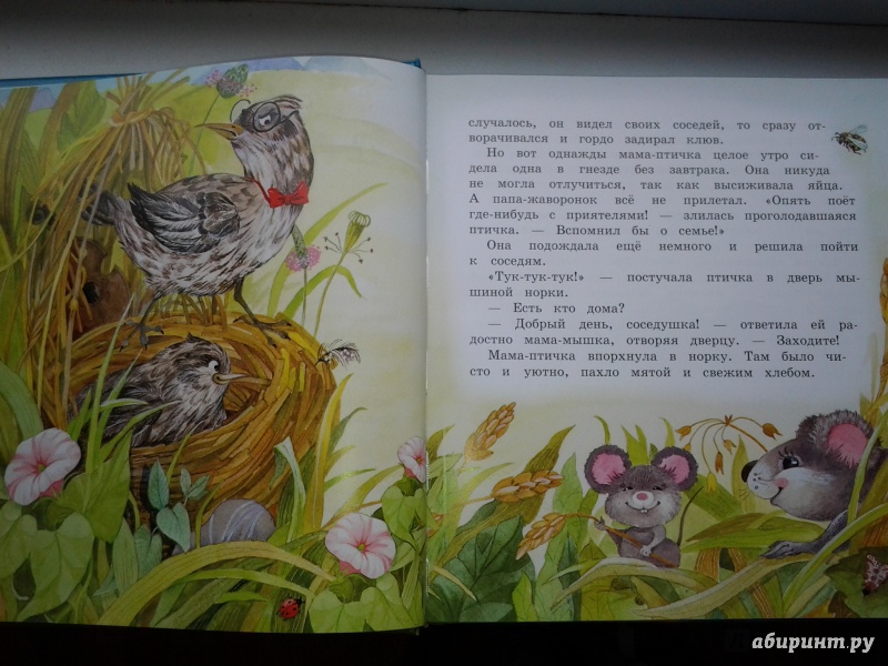 Иллюстрация 13 из 52 для Хочу подарок - Лилия Носова | Лабиринт - книги. Источник: Olga