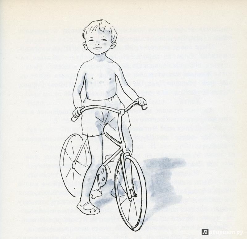 Иллюстрация 32 из 79 для Сережа. Несколько историй из жизни очень маленького мальчика - Вера Панова | Лабиринт - книги. Источник: Лабиринт