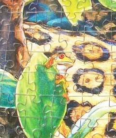 Иллюстрация 5 из 5 для Пазл-мозаика "Радуга в раю" 1500 деталей (C-150885) | Лабиринт - игрушки. Источник: Зудилян