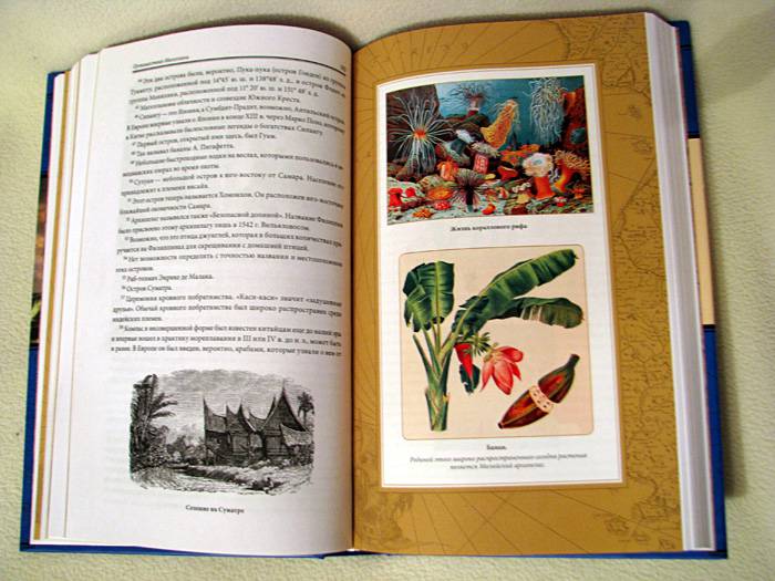Иллюстрация 37 из 39 для Путешествие Магеллана - Антонио Пигафетта | Лабиринт - книги. Источник: AlterMama_ru