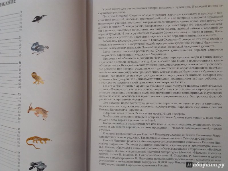 Иллюстрация 47 из 52 для С севера на юг - Николай Сладков | Лабиринт - книги. Источник: Bayirta