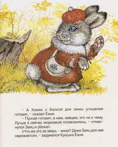 Иллюстрация 27 из 33 для Крошка Ёжик - Тамара Крюкова | Лабиринт - книги. Источник: Юта