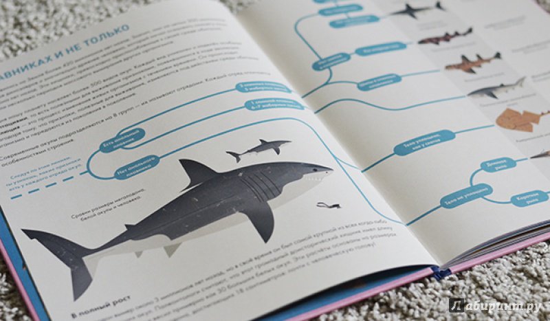 Иллюстрация 29 из 48 для Без ума от акул - Оуэн Дэйви | Лабиринт - книги. Источник: Алпатова  Ирина