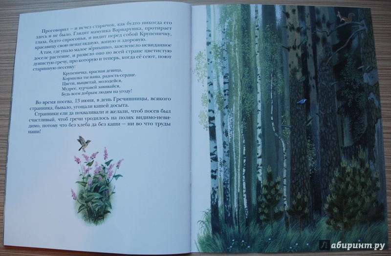 Иллюстрация 12 из 17 для Крупеничка - Николай Телешов | Лабиринт - книги. Источник: Книжный кот