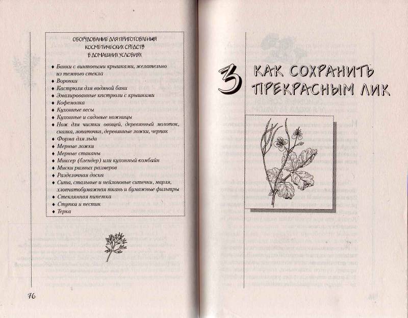 Иллюстрация 12 из 19 для Домашняя косметика на любой возраст - Таисия Левкина | Лабиринт - книги. Источник: Юта