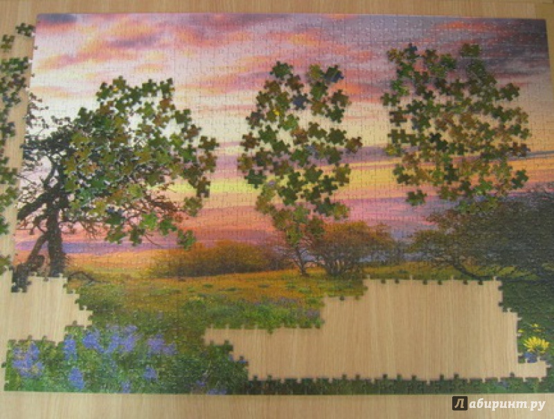 Иллюстрация 10 из 13 для Puzzle-2000 "Дуб,  панорама" (29472) | Лабиринт - игрушки. Источник: Ольга