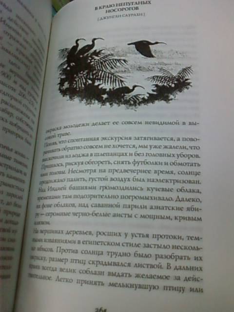 Иллюстрация 19 из 22 для В краю непуганых носорогов - Евгений Коблик | Лабиринт - книги. Источник: lettrice