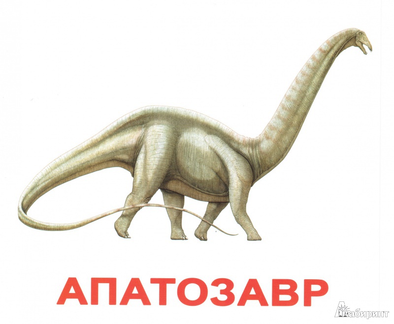 Иллюстрация 2 из 13 для Динозавры (с фактами и заданиями на обратной стороне карточек) | Лабиринт - игрушки. Источник: miofio