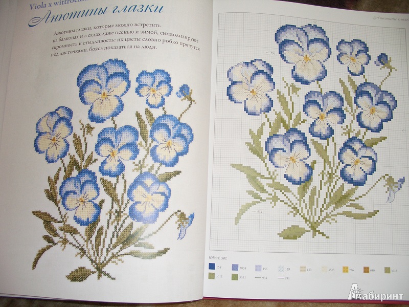 Иллюстрация 9 из 26 для Садовые цветы, вышитые крестом - Вероник Ажинер | Лабиринт - книги. Источник: variae lectiones