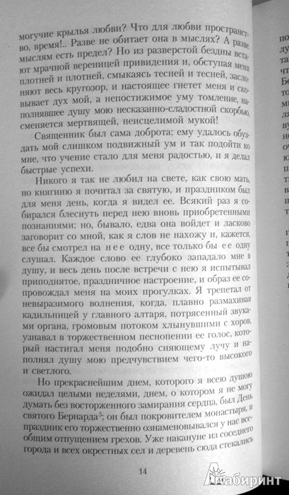 Иллюстрация 10 из 22 для Эликсиры сатаны - Гофман Эрнст Теодор Амадей | Лабиринт - книги. Источник: Леонид Сергеев