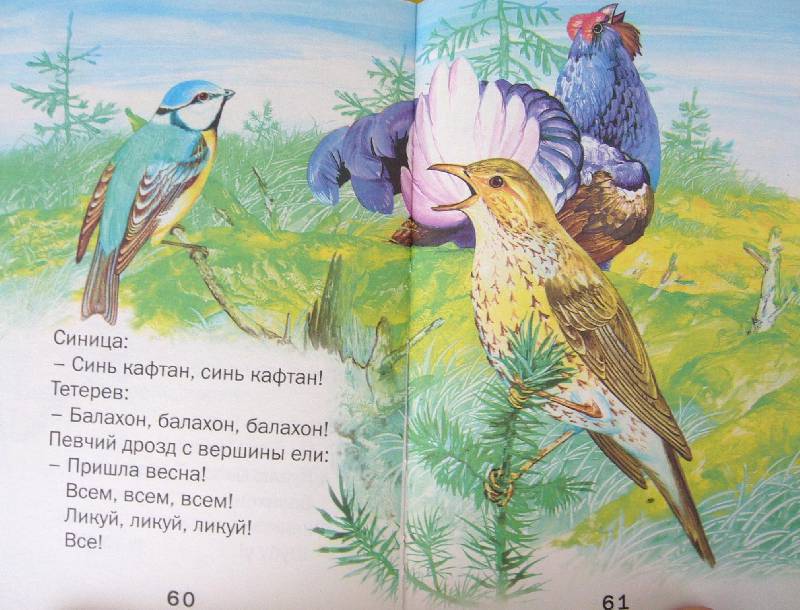 Иллюстрация 18 из 18 для Лесные домишки. Рассказы и сказки - Виталий Бианки | Лабиринт - книги. Источник: Челла