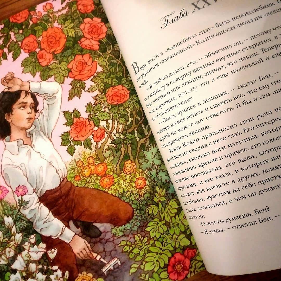 Иллюстрация 57 из 64 для Таинственный сад - Фрэнсис Бёрнетт | Лабиринт - книги. Источник: Отзывы читателей