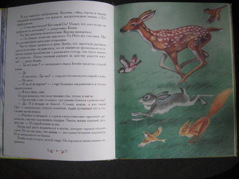 Иллюстрация 28 из 29 для Бемби - Феликс Зальтен | Лабиринт - книги. Источник: Ребекка Попова