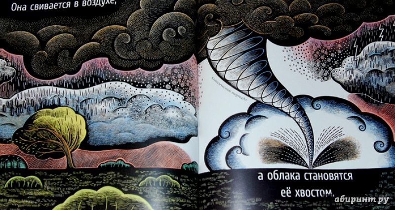 Иллюстрация 28 из 65 для Живые спирали - Джойс Сидман | Лабиринт - книги. Источник: Mila