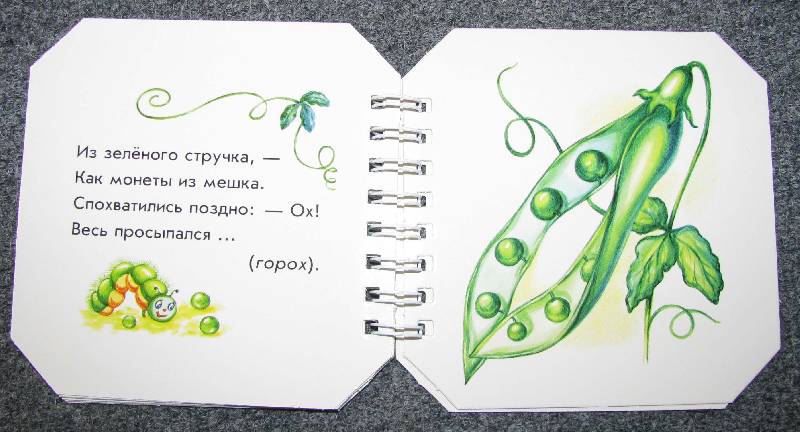 Иллюстрация 11 из 30 для Что в огороде растет - А. Геращенко | Лабиринт - книги. Источник: Апельсинка