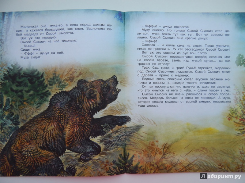 Иллюстрация 43 из 54 для Кузя двухвостый - Виталий Бианки | Лабиринт - книги. Источник: Мелкова  Оксана