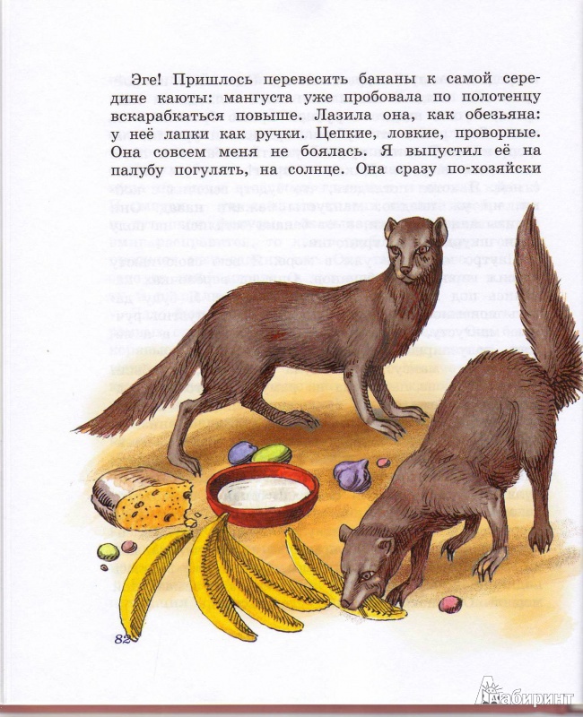 Иллюстрация 32 из 60 для Морские истории. Рассказы для детей - Борис Житков | Лабиринт - книги. Источник: Трубадур