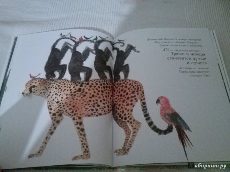 Иллюстрация 16 из 35 для Праздник в джунглях - Брайан Уайлдсмит | Лабиринт - книги. Источник: Анна