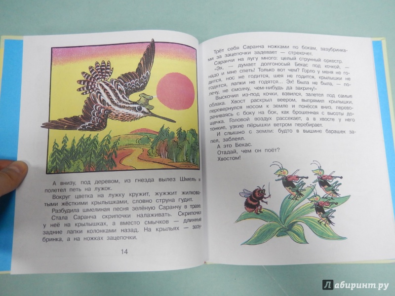 Иллюстрация 8 из 13 для Сказки о животных - Виталий Бианки | Лабиринт - книги. Источник: dbyyb