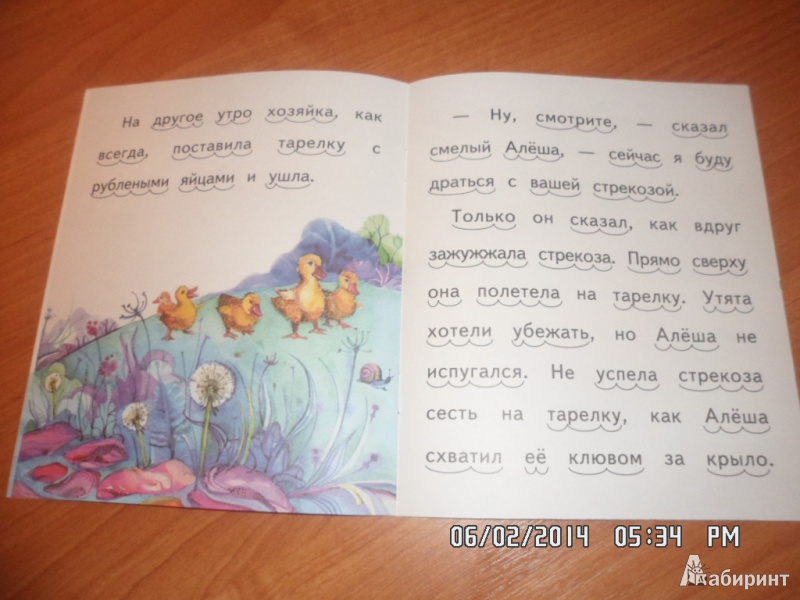 Иллюстрация 14 из 15 для Храбрый утёнок - Борис Житков | Лабиринт - книги. Источник: Борисова  Светлана Игоревна