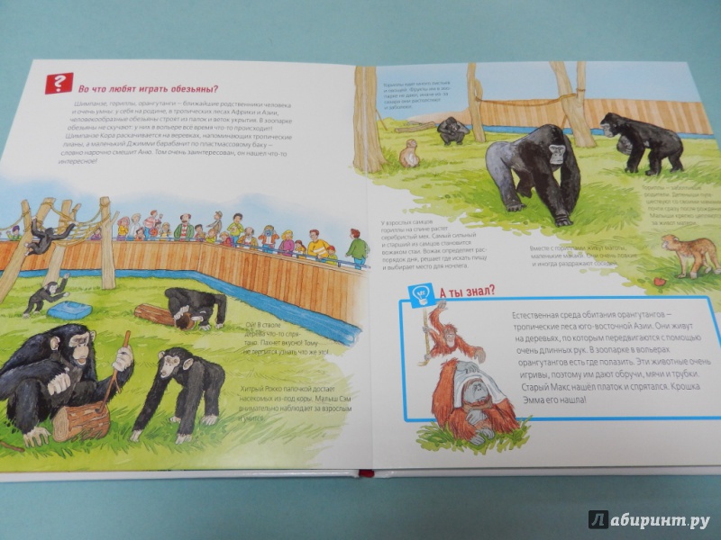 Иллюстрация 15 из 40 для Животные в зоопарке - Забине Шук | Лабиринт - книги. Источник: dbyyb