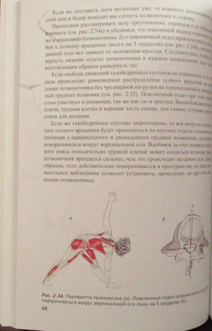 Иллюстрация 47 из 49 для Анатомия йоги - Каминофф, Мэтьюз | Лабиринт - книги. Источник: Юрьев Ярослав