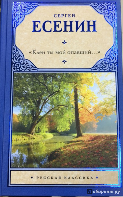 Иллюстрация 13 из 26 для "Клен ты мой опавший..." - Сергей Есенин | Лабиринт - книги. Источник: Lina