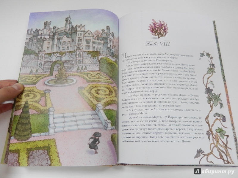 Иллюстрация 14 из 64 для Таинственный сад - Фрэнсис Бёрнетт | Лабиринт - книги. Источник: dbyyb