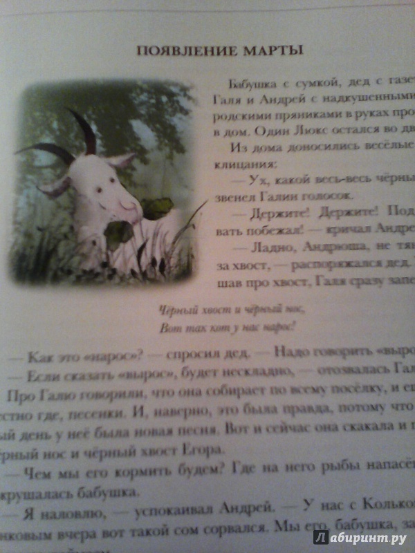 Иллюстрация 61 из 83 для Каникулы кота Егора - Николай Наволочкин | Лабиринт - книги. Источник: Колобова Елена