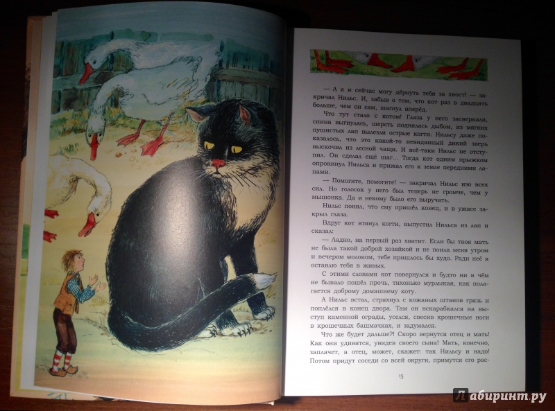 Иллюстрация 6 из 36 для Чудесное путешествие Нильса с дикими гусями - Сельма Лагерлеф | Лабиринт - книги. Источник: Псевдоним