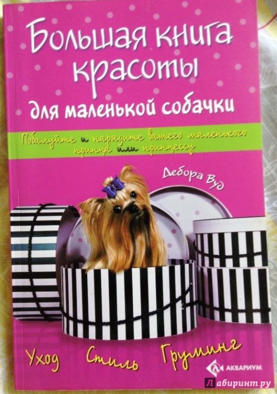 Иллюстрация 15 из 22 для Большая книга красоты для маленькой собачки - Дебора Вуд | Лабиринт - книги. Источник: Космос