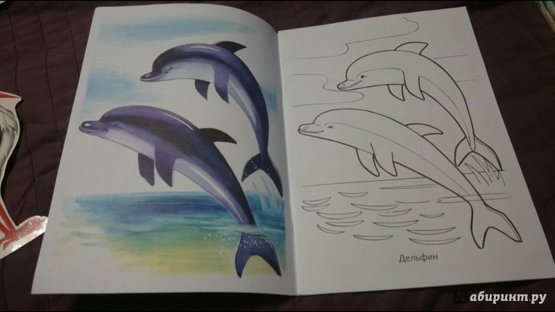 Иллюстрация 16 из 34 для Раскраска Жители морей | Лабиринт - книги. Источник: anka46