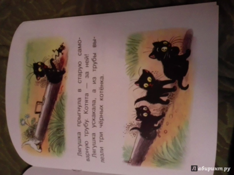 Иллюстрация 7 из 19 для Три котёнка - Владимир Сутеев | Лабиринт - книги. Источник: Zhukova  Polina