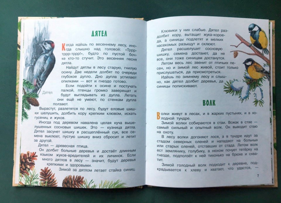 Иллюстрация 16 из 36 для Про птиц и зверей - Геннадий Снегирев | Лабиринт - книги. Источник: Лабиринт