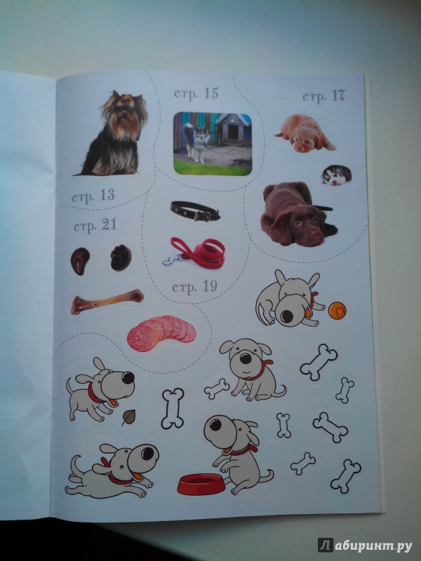 Иллюстрация 18 из 20 для Как воспитать щенка | Лабиринт - книги. Источник: Александра Джейлани