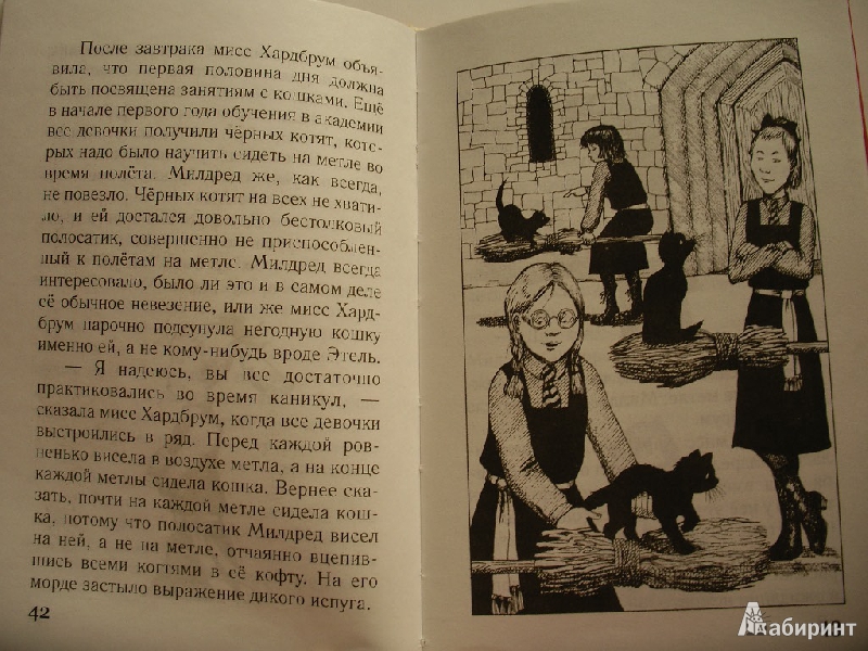 Иллюстрация 7 из 47 для Самая плохая ведьма. Книга 3. Неожиданное превращение - Джилл Мерфи | Лабиринт - книги. Источник: Tiger.