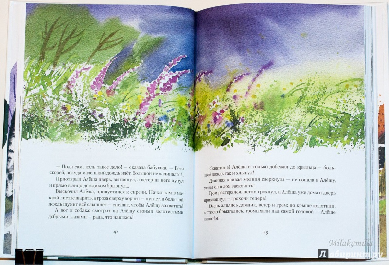 Иллюстрация 88 из 129 для Алешин год - Юрий Третьяков | Лабиринт - книги. Источник: Букландия
