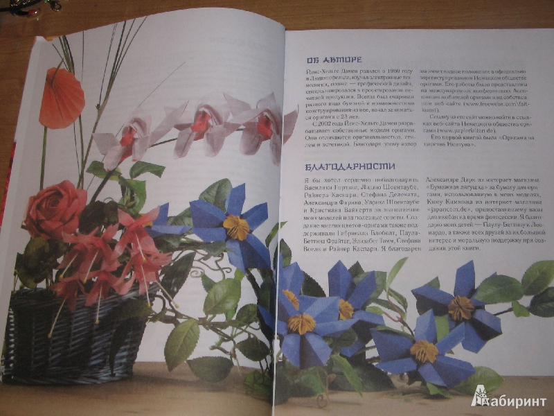 Иллюстрация 4 из 10 для Волшебные цветы-оригами - Йенс-Хельге Дамен | Лабиринт - книги. Источник: Рыженький