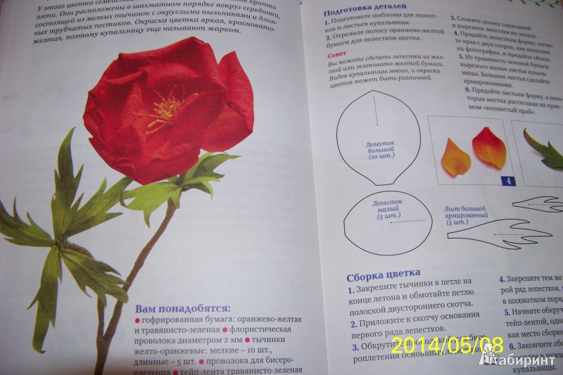 Иллюстрация 5 из 14 для Цветы из гофрированной бумаги: мастер-классы для начинающих - Анна Зайцева | Лабиринт - книги. Источник: G