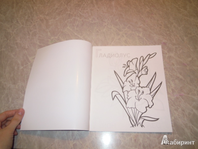 Иллюстрация 7 из 12 для Забавные садовые цветы | Лабиринт - книги. Источник: Iwolga