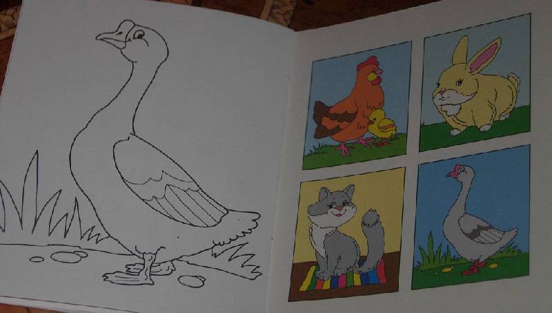 Иллюстрация 5 из 5 для Домашний зоопарк | Лабиринт - книги. Источник: Iwolga