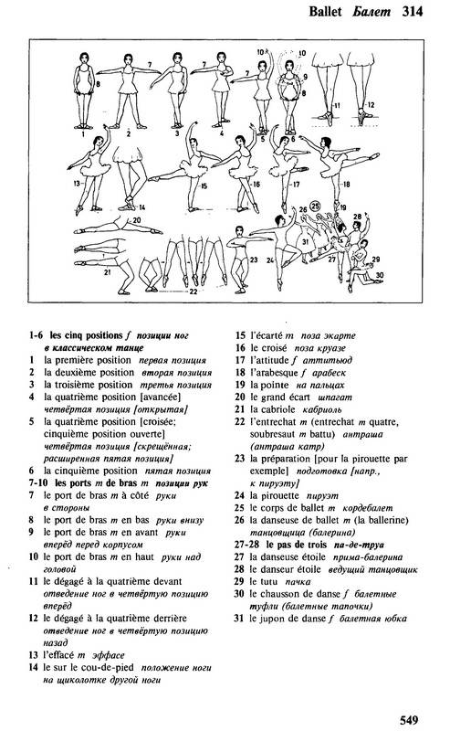 Иллюстрация 42 из 42 для Иллюстрированный словарь французского и русского языка с указателями | Лабиринт - книги. Источник: Риззи