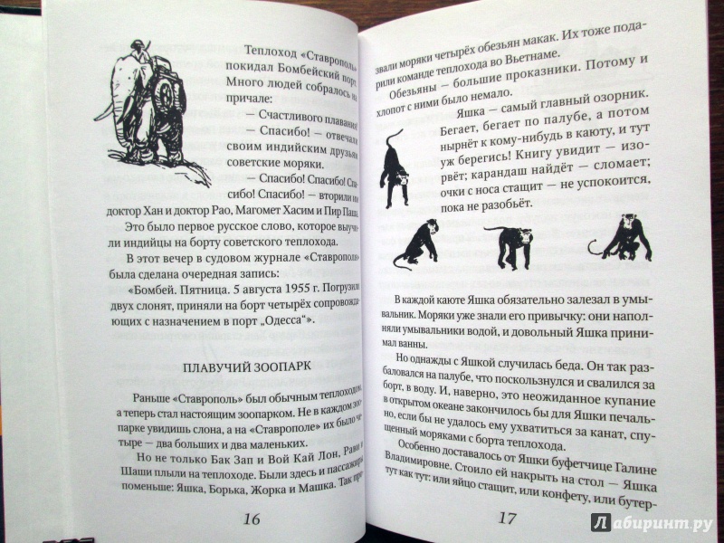 Иллюстрация 5 из 19 для Снежок - Сергей Баруздин | Лабиринт - книги. Источник: Зеленая шляпа