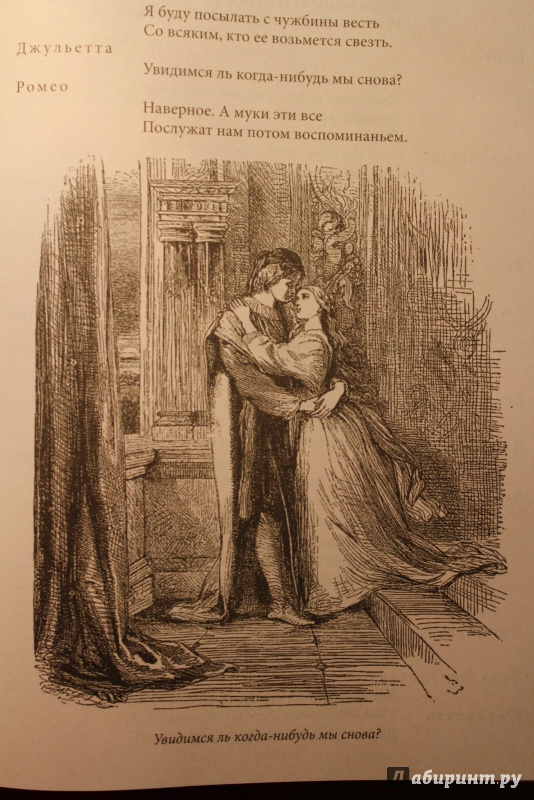 Иллюстрация 13 из 25 для Ромео и Джульетта. Трагедии - Уильям Шекспир | Лабиринт - книги. Источник: )  Катюша