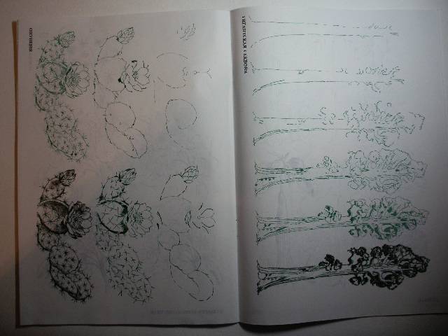 Иллюстрация 2 из 29 для Рисуем 50 цветов и деревьев - Эймис, Эймис | Лабиринт - книги. Источник: Tiger.