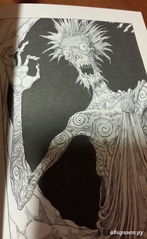 Иллюстрация 11 из 48 для The Graveyard Book - Neil Gaiman | Лабиринт - книги. Источник: Сазонова  Алиса