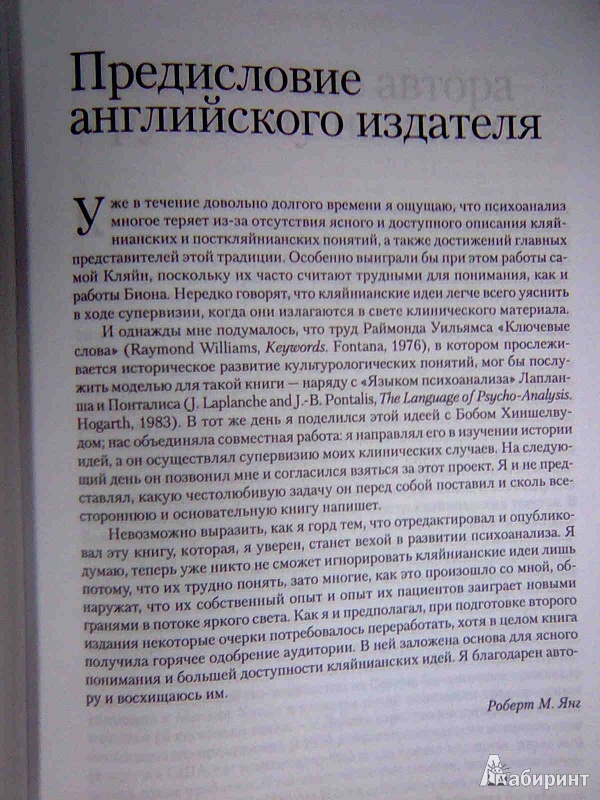 Иллюстрация 5 из 22 для Словарь кляйнианского психоанализа - Роберт Хиншелвуд | Лабиринт - книги. Источник: Салус