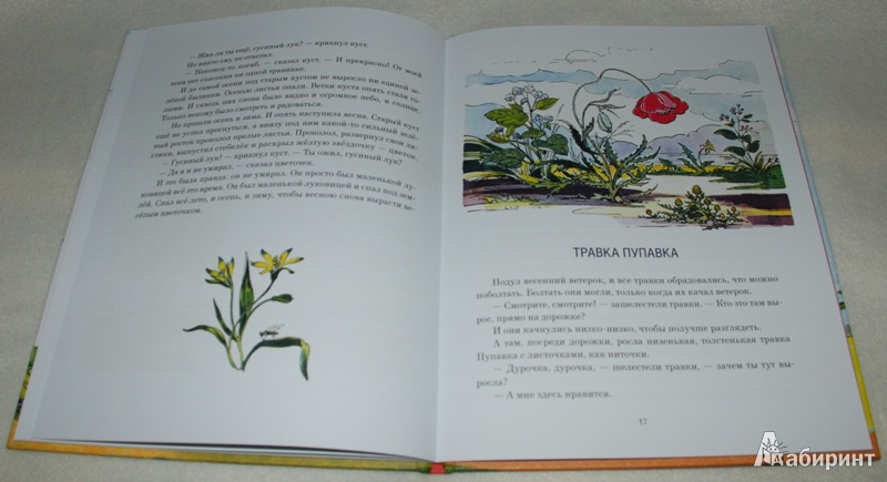 Иллюстрация 15 из 33 для Жёлтый, белый, лиловый - Нина Павлова | Лабиринт - книги. Источник: Книжный кот